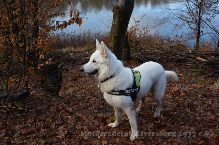 Wandertag 2012 - 085.JPG